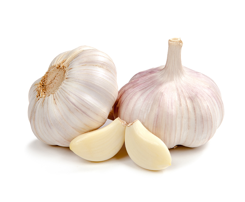 Garlic on white background